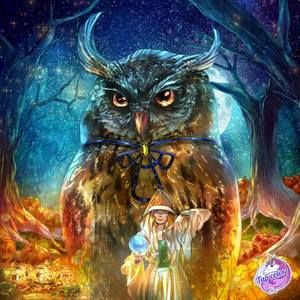 Meet your Posher, Teresa